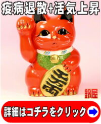 取引先の退院祝い